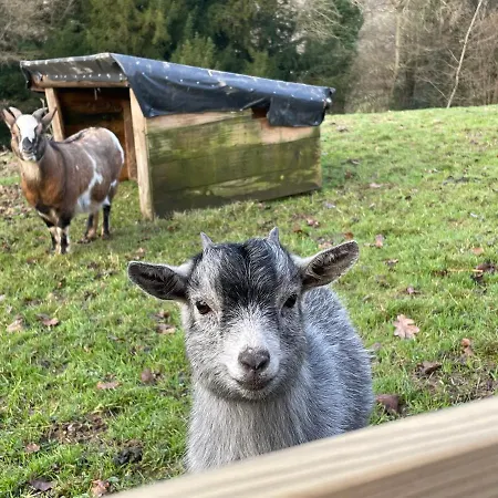 Auge Horizon Saint-Benoit-d'Hebertot