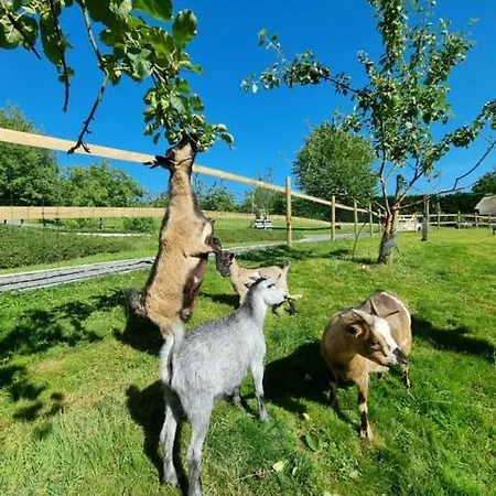 Auge Horizon לינה וארוחת בוקר Saint-Benoit-d'Hebertot