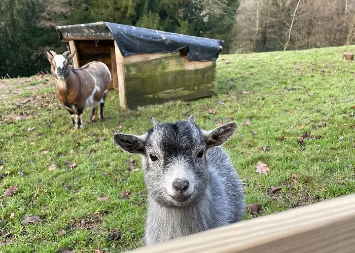 Auge Horizon Saint-Benoit-d'Hebertot