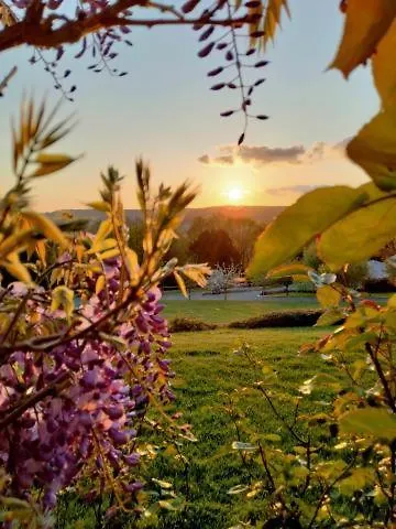 Bed & Breakfast Auge Horizon 4*