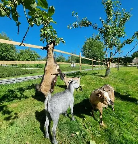 Auge Horizon Bed & Breakfast Saint-Benoit-d'Hebertot