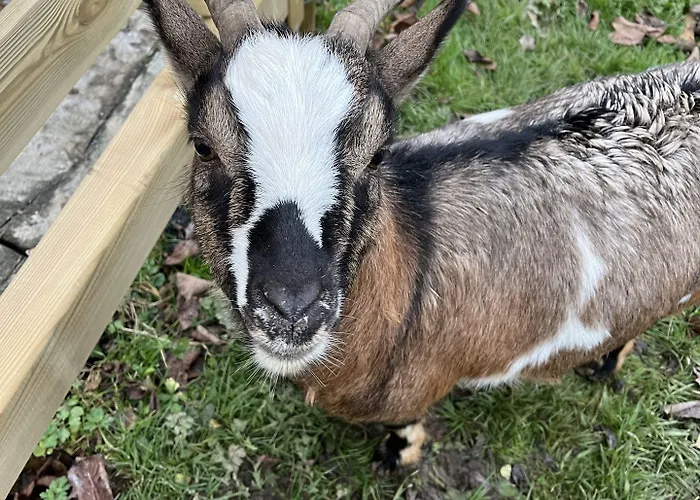 Auge Horizon 4* Saint-Benoit-d'Hebertot